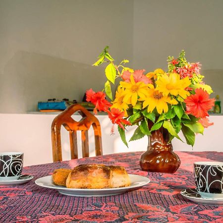 Surfing Guest House Matara Extérieur photo